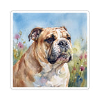 English Bulldog Watercolor vinyl sticker by Tritan, front