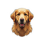 Golden Retriever Low Poly vinyl sticker by Tritan, front
