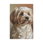 Havanese Oil Portrait canvas print by Tritan, front