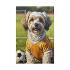 Havanese Soccer Portrait canvas print by Tritan, front