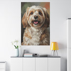 Havanese Oil Portrait canvas print by Tritan, desk wall