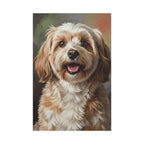 Havanese Oil Portrait canvas print by Tritan, front