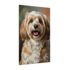 Havanese Oil Portrait canvas print by Tritan, side