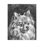 Pomeranian Charcoal canvas print by Tritan, front