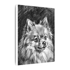 Pomeranian Charcoal Portrait Canvas Print | Dog Wall Art Gift | Pet Lover Decor | Realistic Pom Sketch Artwork