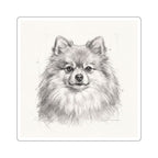 Pomeranian Graphite vinyl sticker by Tritan, front