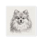 Pomeranian Graphite die-cut magnet by Tritan, front