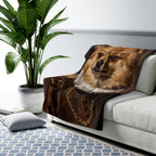 Pomeranian Renaissance Royal sherpa blanket by Tritan, on sofa