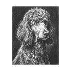Poodle Charcoal canvas print by Tritan, front