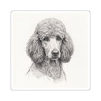 Poodle Graphite vinyl sticker by Tritan, front