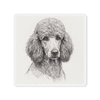 Poodle Graphite die-cut magnet by Tritan, front