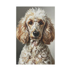 Poodle Oil Portrait canvas print by Tritan, front