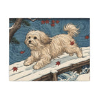 Havanese canvas print by Tritan, front