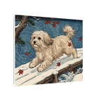 Havanese canvas print by Tritan, side