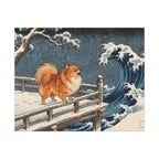 Pomeranian canvas print by Tritan, front