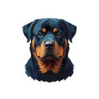 Rottweiler Low Poly vinyl sticker by Tritan, front