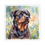 Rottweiler Watercolor vinyl sticker by Tritan, front