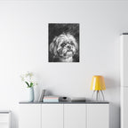 Shih Tzu Charcoal canvas print by Tritan, desk wall