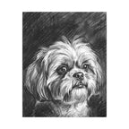 Shih Tzu Charcoal canvas print by Tritan, front