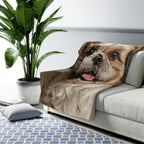 Shih Tzu Oil Portrait sherpa blanket by Tritan, on sofa