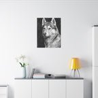 Siberian Husky Charcoal canvas print by Tritan, desk wall