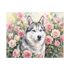 Siberian Husky Watercolor canvas print by Tritan, front