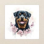 Rottweiler Watercolor Kiss-Cut Sticker, Soft Dog Art, Rottweiler Lover Gift, Waterproof Vinyl kiss-cut vinyl sticker applied to a journal cover on a limestone desk, photographed from directly above