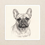 French Bulldog Graphite vinyl sticker by Tritan, angled view