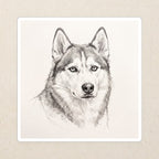 Siberian Husky Graphite vinyl sticker by Tritan, angled view
