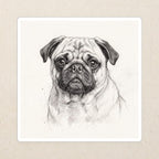 Pug Graphite vinyl sticker by Tritan, angled view