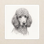Poodle Graphite vinyl sticker by Tritan, angled view