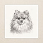 Pomeranian Graphite vinyl sticker by Tritan, angled view
