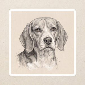 Beagle Graphite Portrait Die-Cut Sticker, Pencil Sketch Dog Art, Beagle Lover Gift, Water-Resistant Vinyl