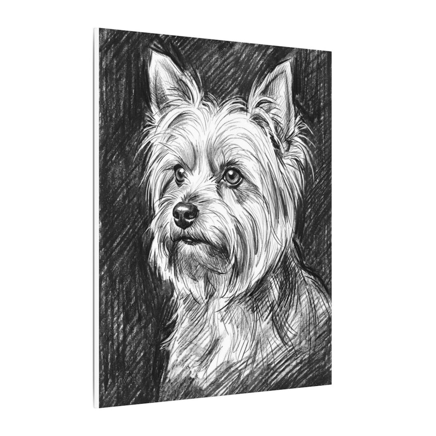 Yorkshire Terrier Charcoal canvas print by Tritan, side