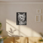 Yorkshire Terrier Charcoal canvas print by Tritan, sofa wall